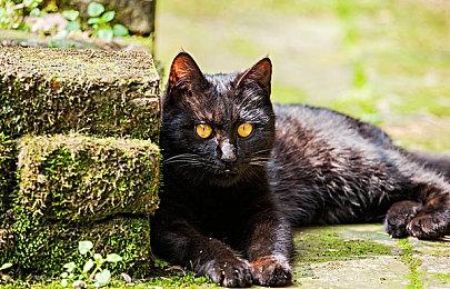 手游《登山赛车》下载量超20亿 开发商感谢玩家